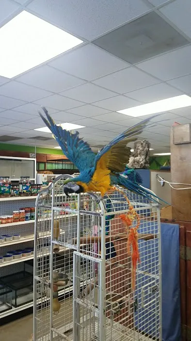 Pets-A-Plenty: The Ultimate Reptile Shop Picture 2