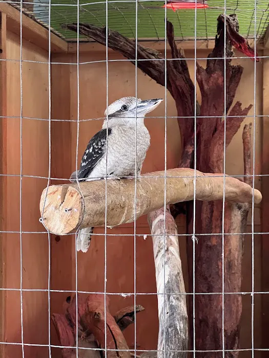 Pets-A-Plenty: The Ultimate Reptile Shop Picture 6