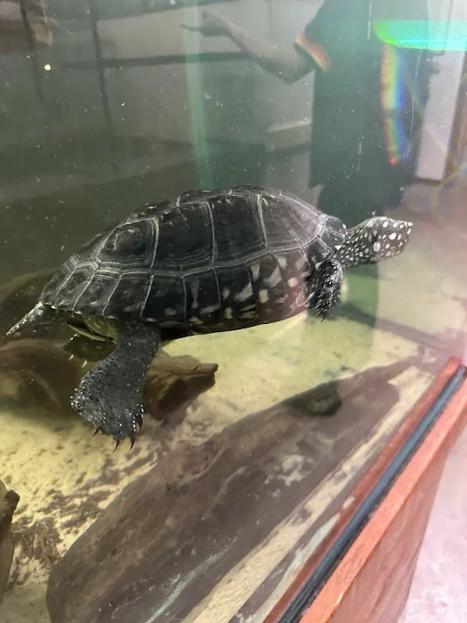 Pets-A-Plenty: The Ultimate Reptile Shop Picture 4