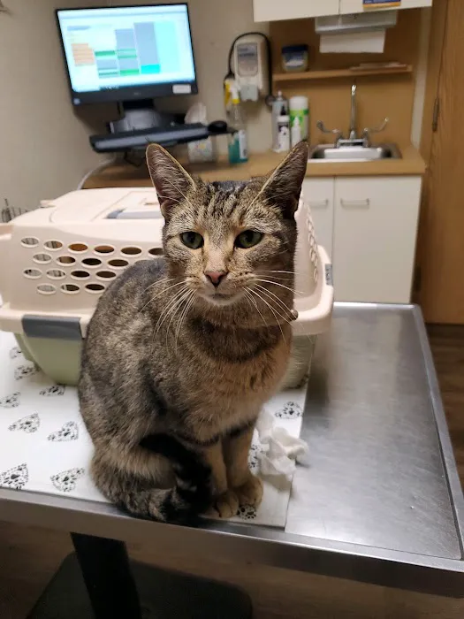 Donovan Veterinary Clinic Picture 10