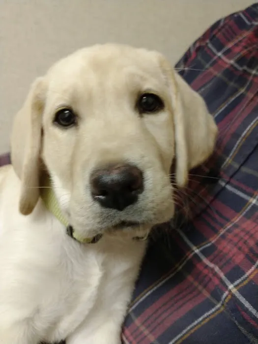 Donovan Veterinary Clinic Picture 8