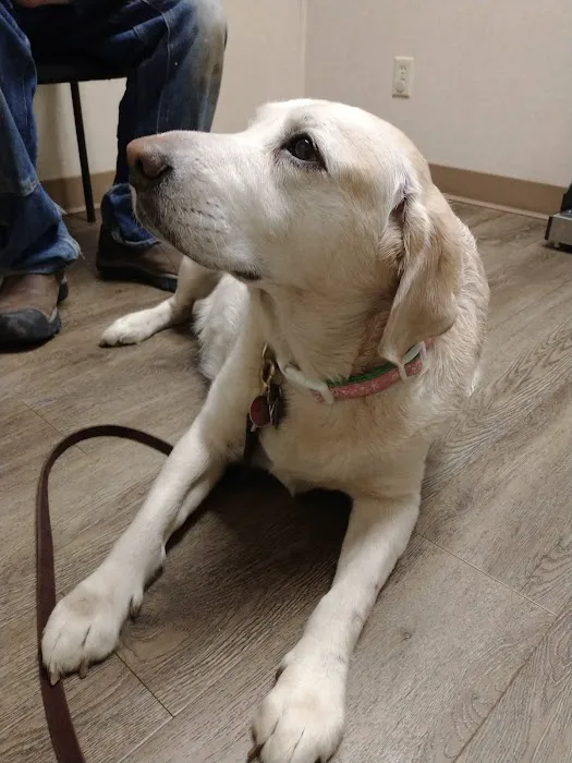 Donovan Veterinary Clinic Picture 9