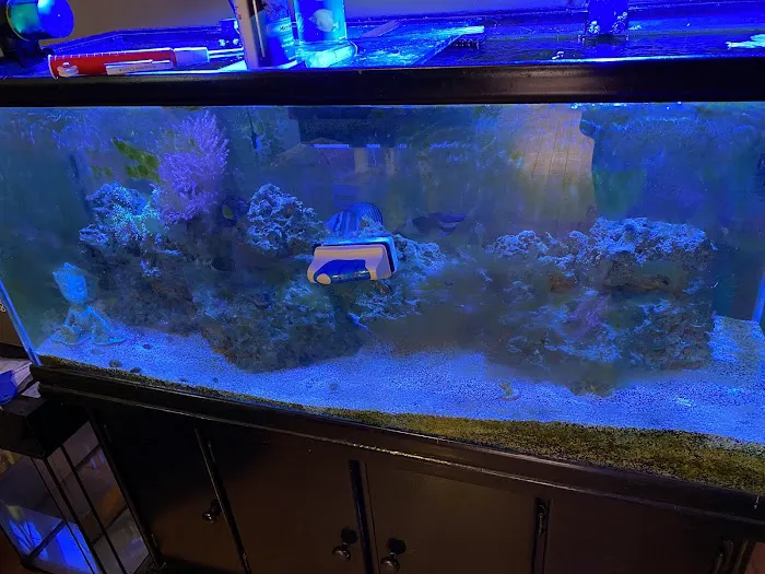 Aquarium Maintenance, LLC Picture 2