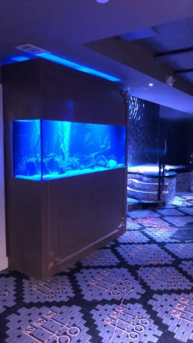 Aquarium Maintenance, LLC Picture 1