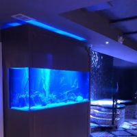 Aquarium Maintenance, LLC ico