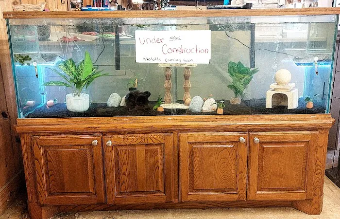 Aquarium Maintenance, LLC Picture 3