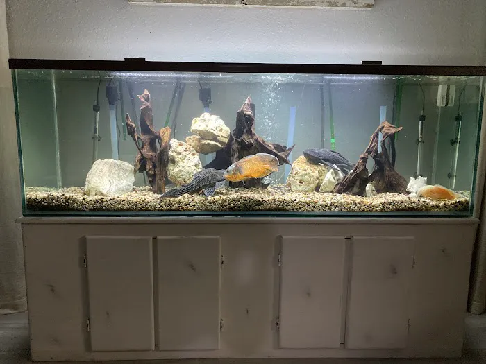 Aquarium Maintenance, LLC Picture 4