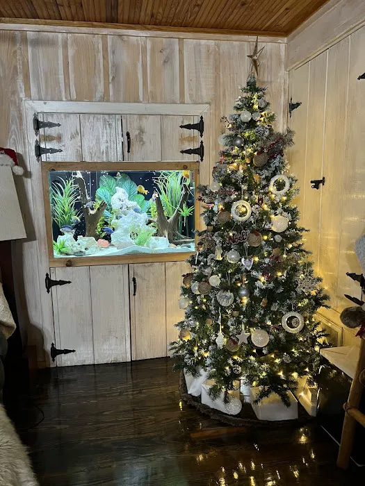 Aquarium Maintenance, LLC Picture 6