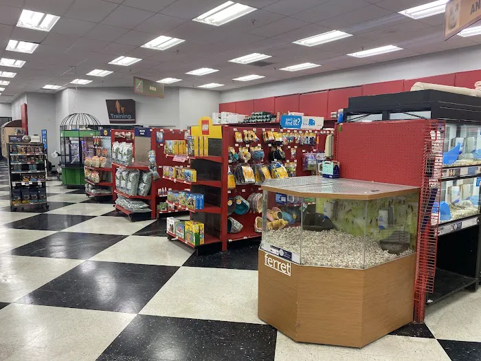Petco Picture 3