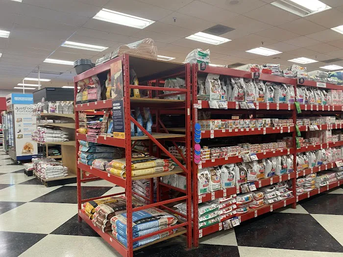 Petco Picture 5
