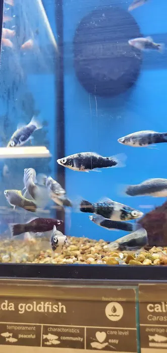 Petco Picture 10