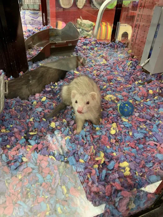 Petco Picture 1