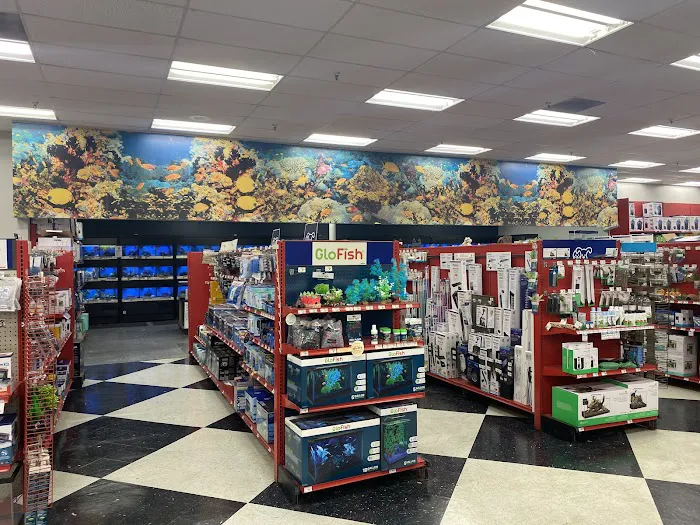 Petco Picture 2