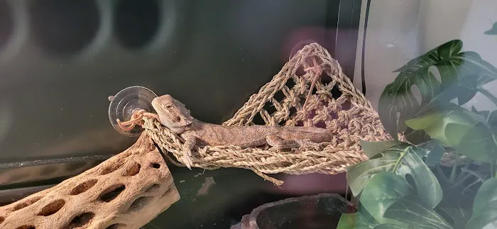 Petco Picture 8
