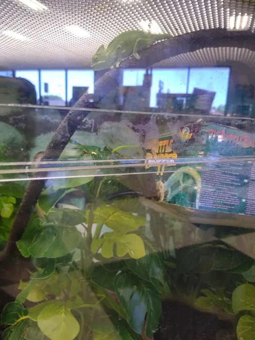 Petco Picture 9
