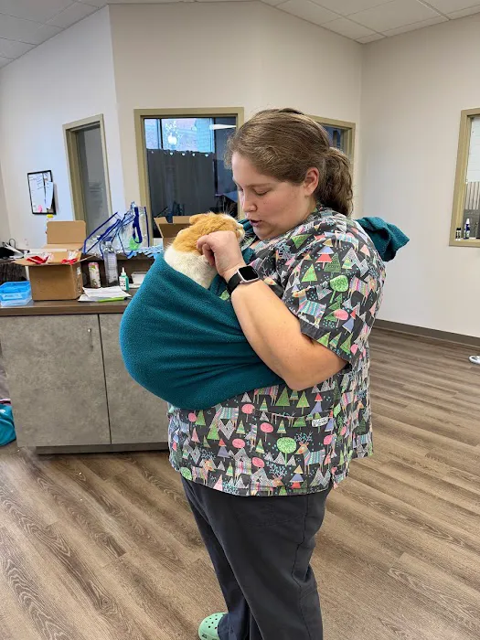East Market Veterinary Center Picture 7