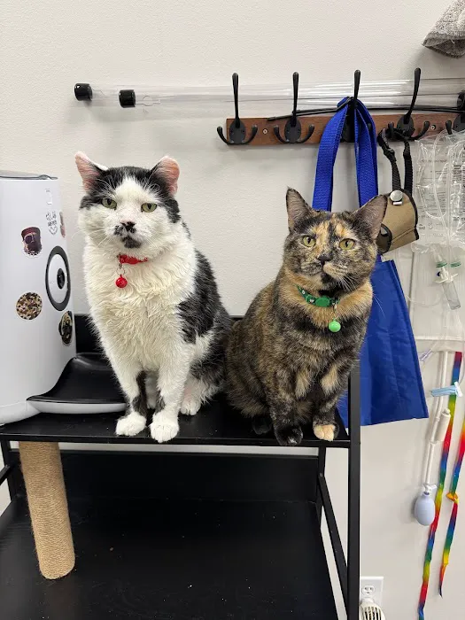 East Market Veterinary Center Picture 4