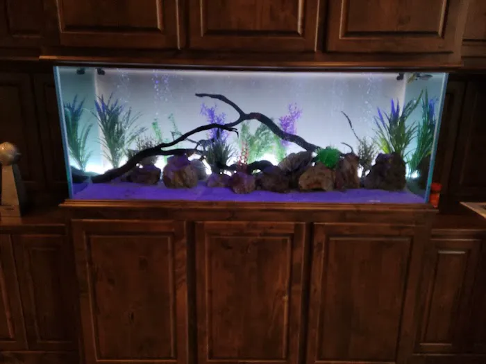 Aquarium Cleaning Services Picture 5