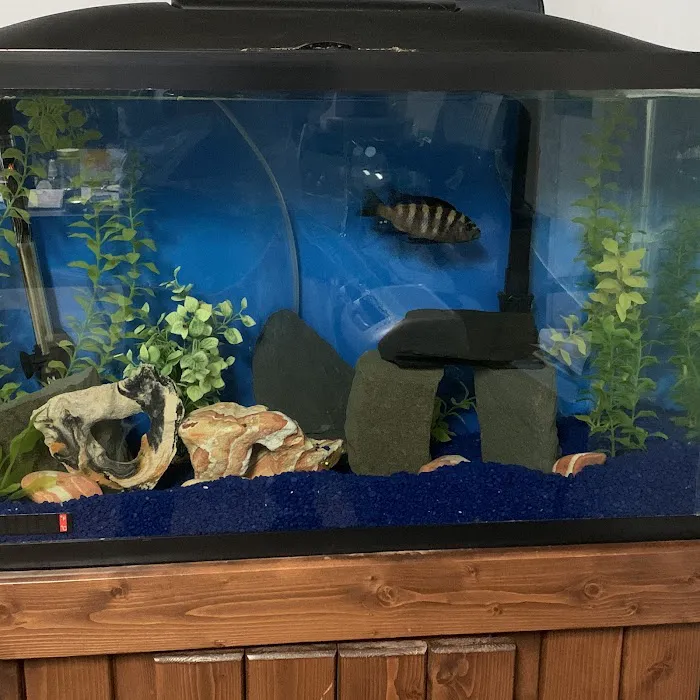 Tommy's Aquarium Maintenance Services-Design, Installation and Service for Salt Water, Fresh Water & Reef Tanks Picture 6