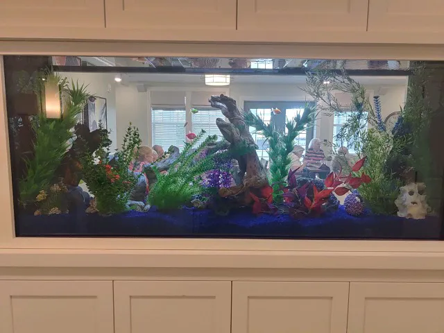 Tommy's Aquarium Maintenance Services-Design, Installation and Service for Salt Water, Fresh Water & Reef Tanks Picture 9