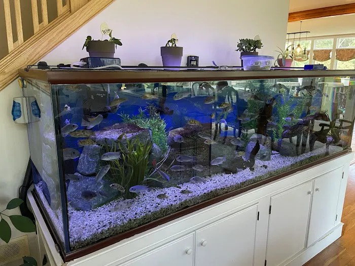 Tommy's Aquarium Maintenance Services-Design, Installation and Service for Salt Water, Fresh Water & Reef Tanks Picture 1