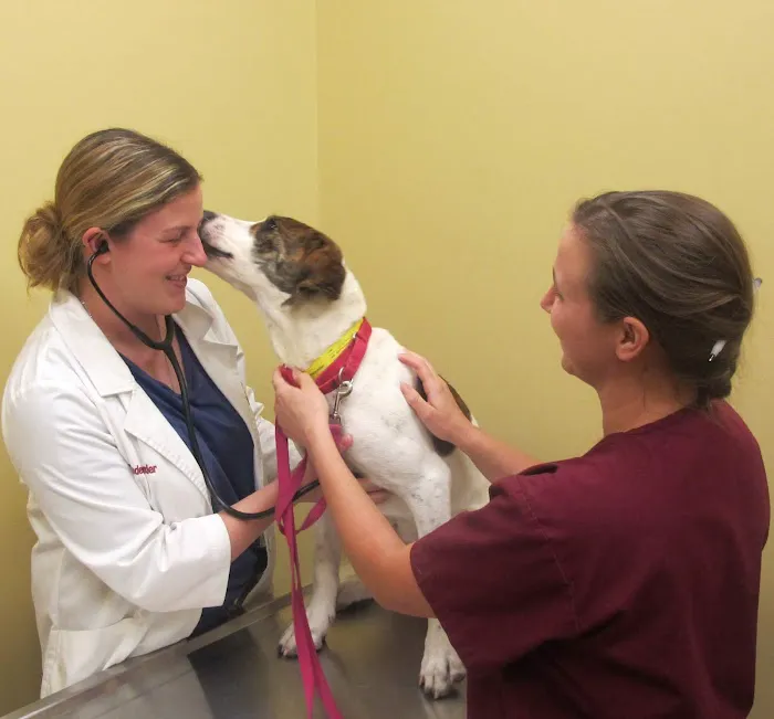 Bredel Veterinary Clinic Picture 8