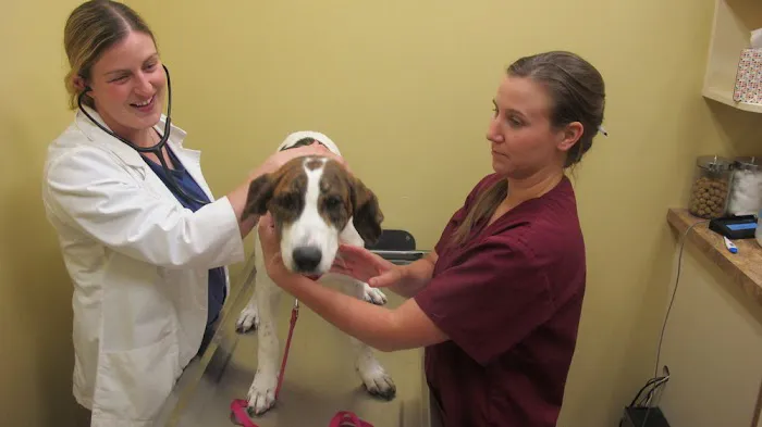 Bredel Veterinary Clinic Picture 6