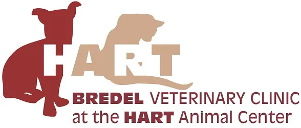 Bredel Veterinary Clinic Picture 1