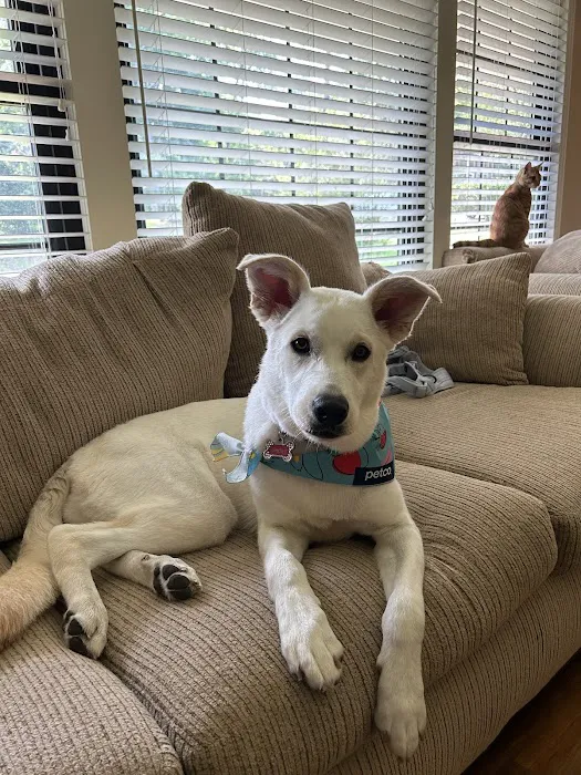 Petco Picture 8