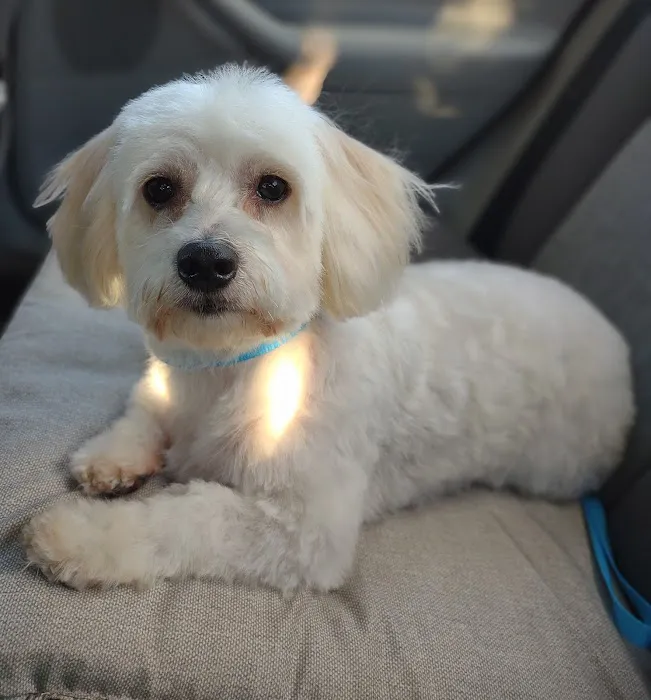 Petco Picture 3