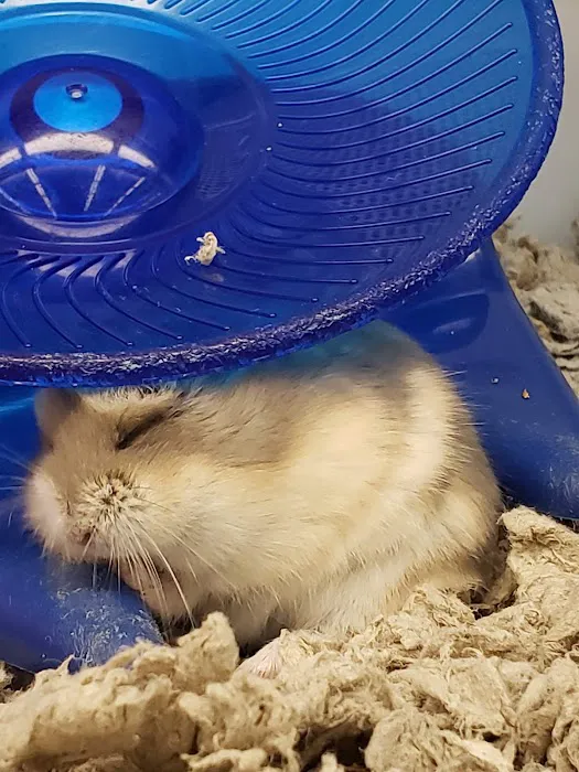 Petco Picture 6