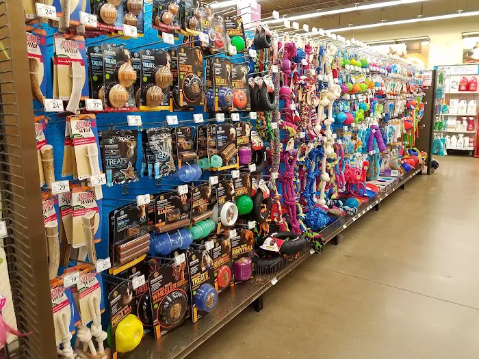 Petco Picture 4
