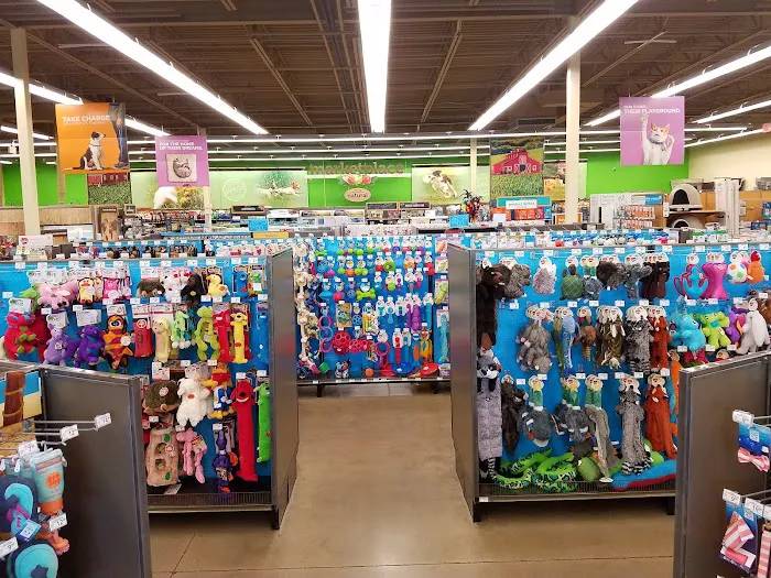 Petco Picture 2