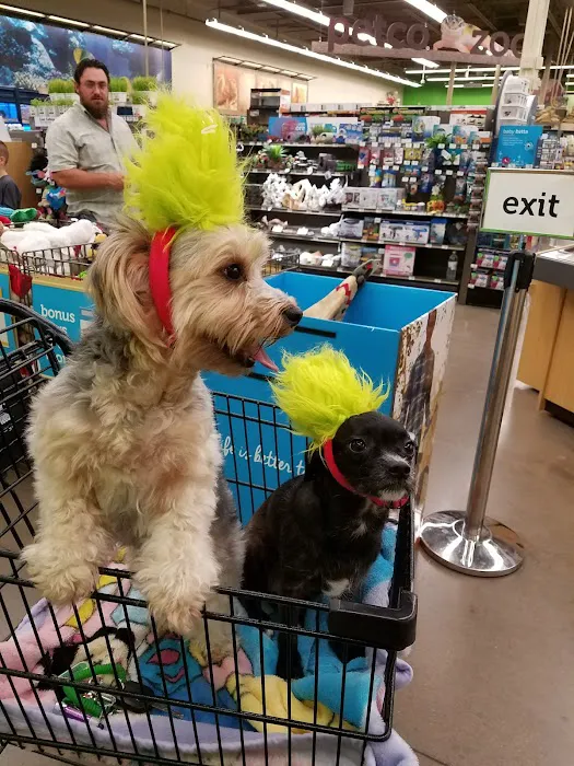 Petco Picture 10