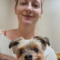 LaVale Veterinary Hospital ico