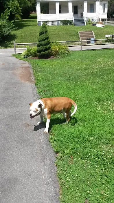 Western Maryland Animal Hospital Picture 9