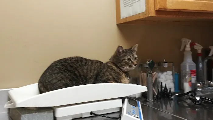 Western Maryland Animal Hospital Picture 1