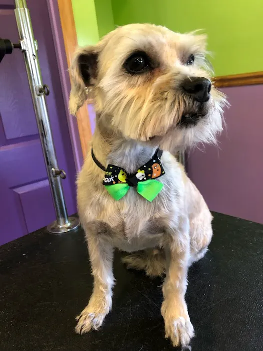 Western Maryland Animal Hospital Picture 7