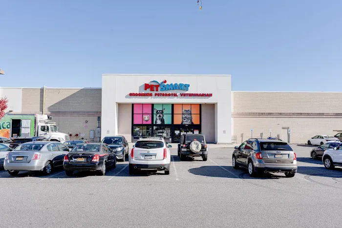 PetSmart Veterinary Services - Commack Picture 7