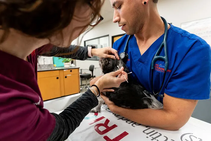 PetSmart Veterinary Services - Commack Picture 6