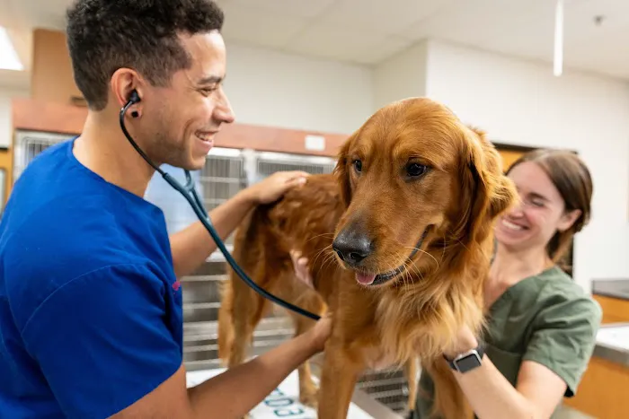 PetSmart Veterinary Services - Commack Picture 8