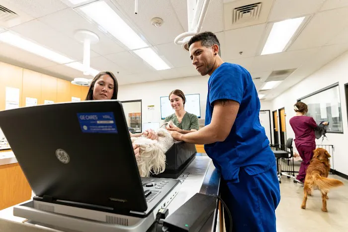 PetSmart Veterinary Services - Commack Picture 5