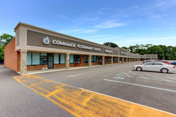 Commack Veterinary Center Picture 2