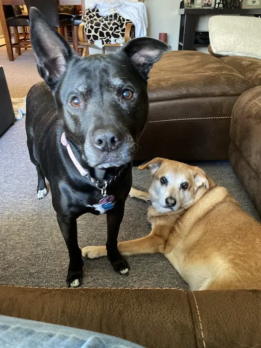 Smithtown Animal Hospital Picture 8