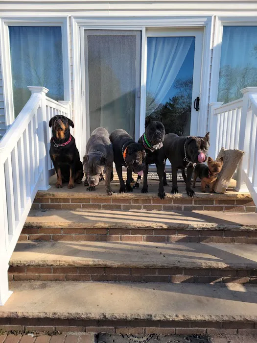Smithtown Animal Hospital Picture 7