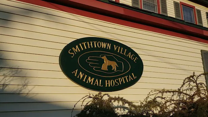 Smithtown Village Animal Hospital Picture 8