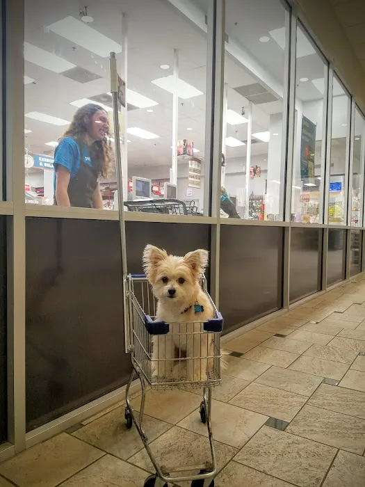 Petco Picture 4