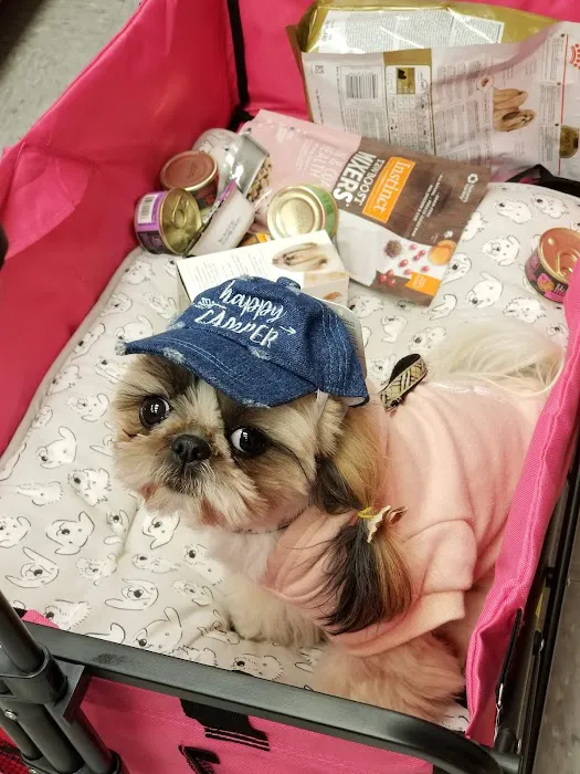 Petco Picture 7