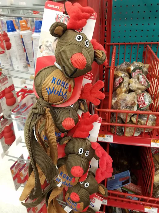 Petco Picture 8