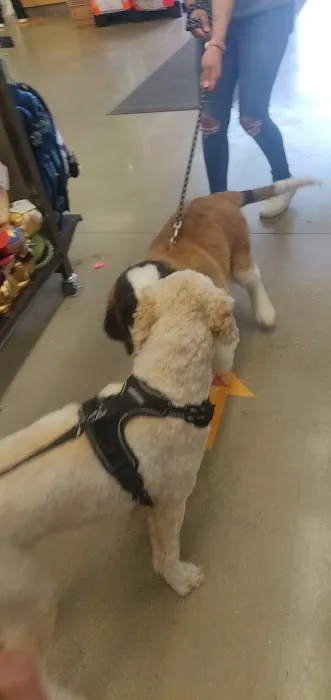 Petco Picture 2